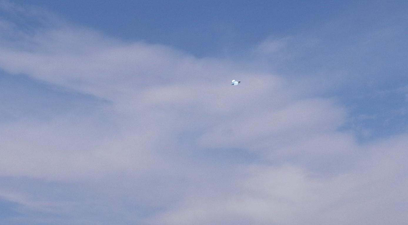 1/2alula BL _d0067943_2045231.jpg
