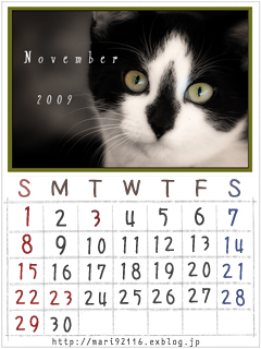 お持ち帰り専用、ミニ・猫カレンダー・2009年11月_f0027944_17122383.jpg