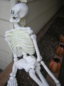 tired skeleton_d0143046_6543769.jpg