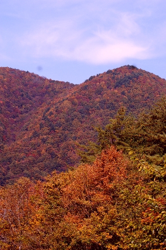 え！！　１０月も おわっちゃうの・・・・。_f0114346_7202122.jpg