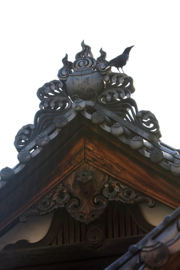 b0157849_18512165.jpg