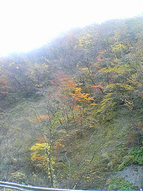 a0096557_12294962.jpg