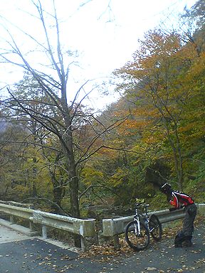 a0096557_1229654.jpg