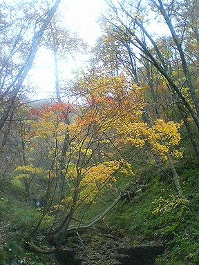 a0096557_1255642.jpg