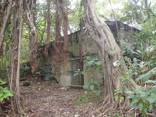 c0180460_67176.jpg