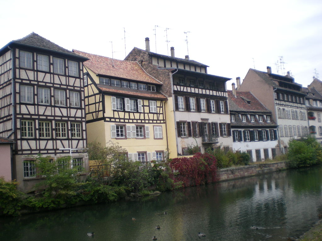 f0060461_22364524.jpg