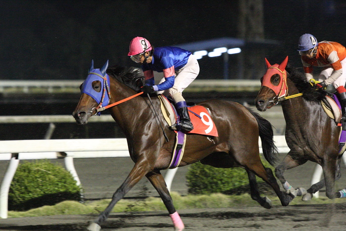 赤岡修次騎手、通算勝利1500勝達成！！_a0077663_2242019.jpg
