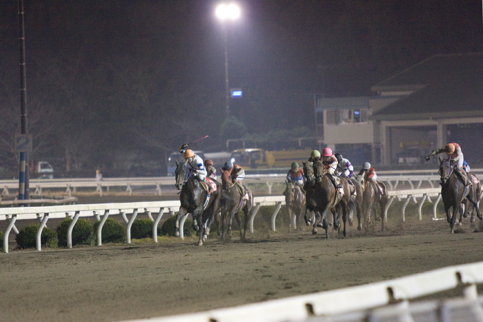 赤岡修次騎手、通算勝利1500勝達成！！_a0077663_224221100.jpg
