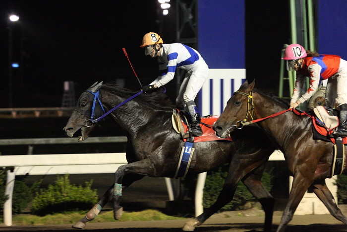 赤岡修次騎手、通算勝利1500勝達成！！_a0077663_22424964.jpg