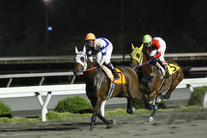 2009年10月24日（土） 高知競馬 7R 旅打ちニッポン協賛 高知旅打ち記念特別 B4_a0077663_5251381.jpg