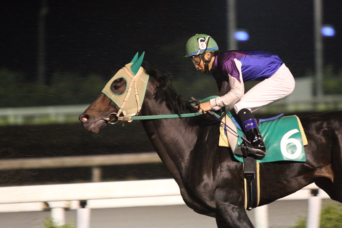 2009年10月24日（土） 高知競馬 7R 旅打ちニッポン協賛 高知旅打ち記念特別 B4_a0077663_5252968.jpg
