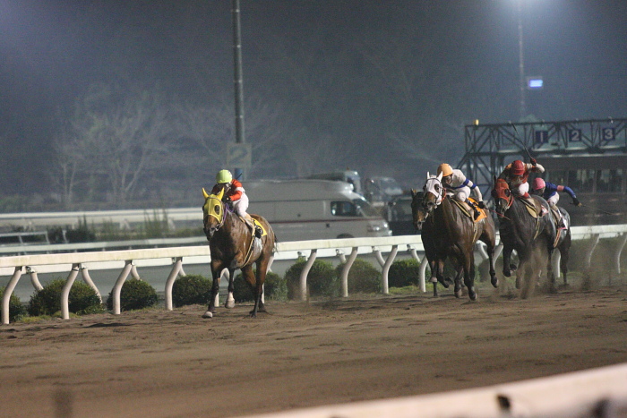 2009年10月24日（土） 高知競馬 7R 旅打ちニッポン協賛 高知旅打ち記念特別 B4_a0077663_5254722.jpg