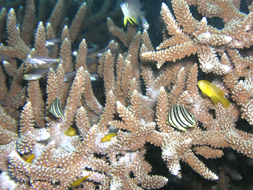 b0062363_20779.jpg