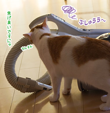 a0119470_045148.jpg