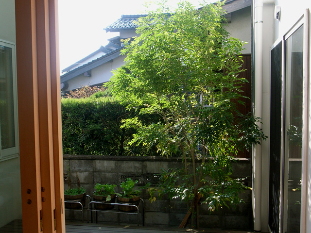 d0141173_11414896.jpg