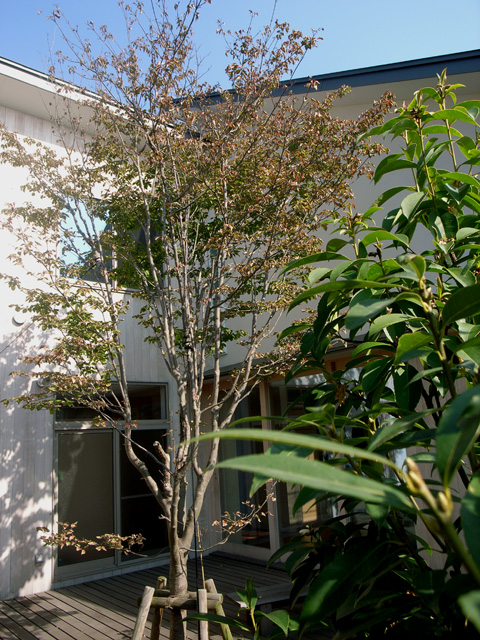 d0141173_114281.jpg