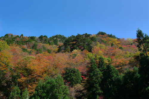 c0177576_23103695.jpg