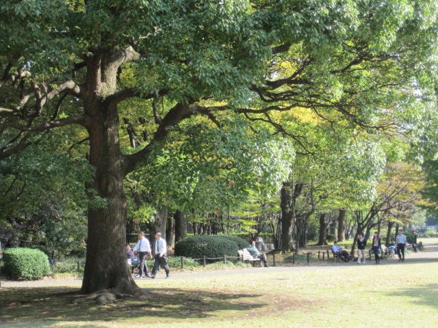c0205379_624114.jpg