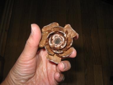 e0047581_8582050.jpg