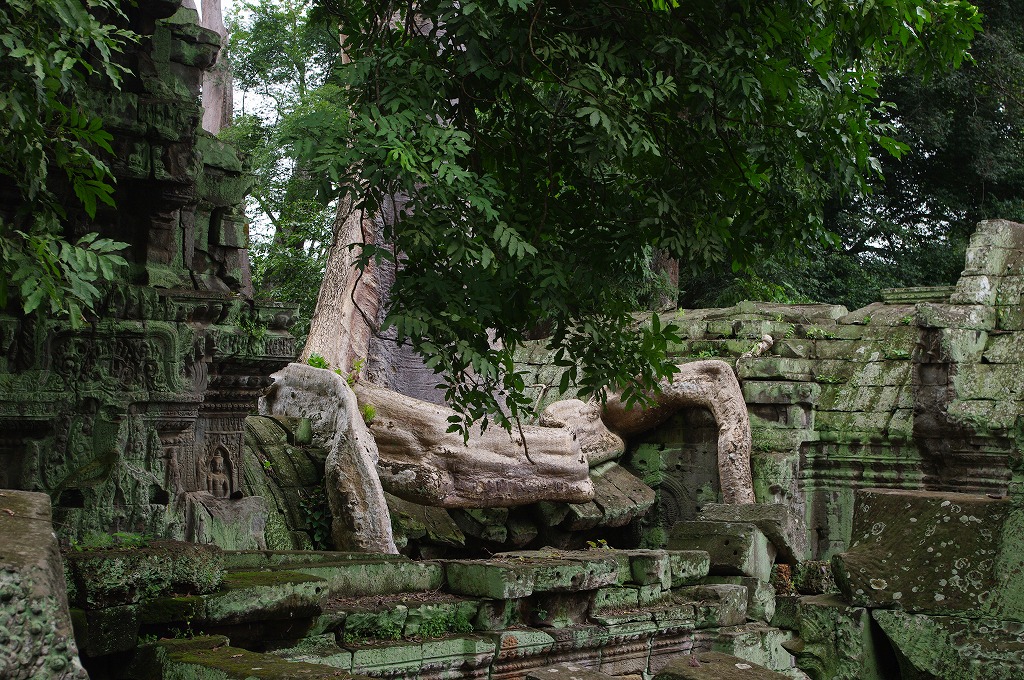 b0183583_10272732.jpg