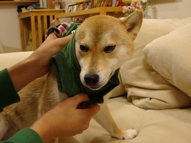 今夜はおめかし!_a0126590_571078.jpg