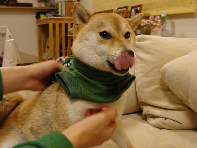 今夜はおめかし!_a0126590_572282.jpg