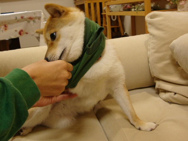 今夜はおめかし!_a0126590_573014.jpg