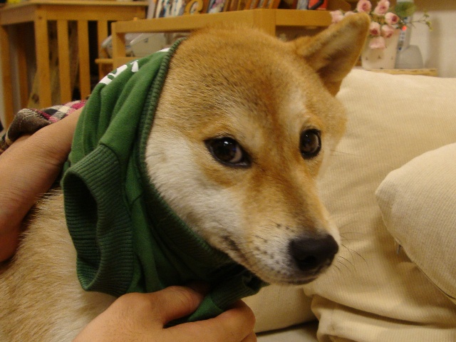 今夜はおめかし!_a0126590_57311.jpg
