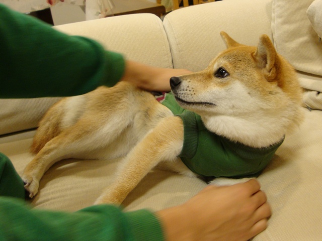 今夜はおめかし!_a0126590_573973.jpg