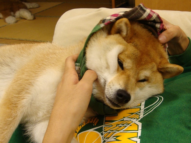 今夜はおめかし!_a0126590_591631.jpg
