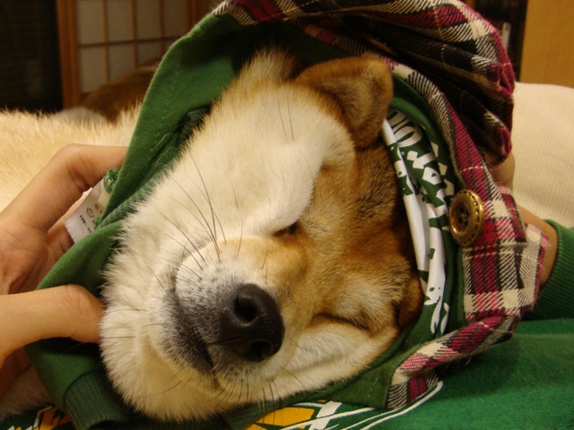 今夜はおめかし!_a0126590_592150.jpg
