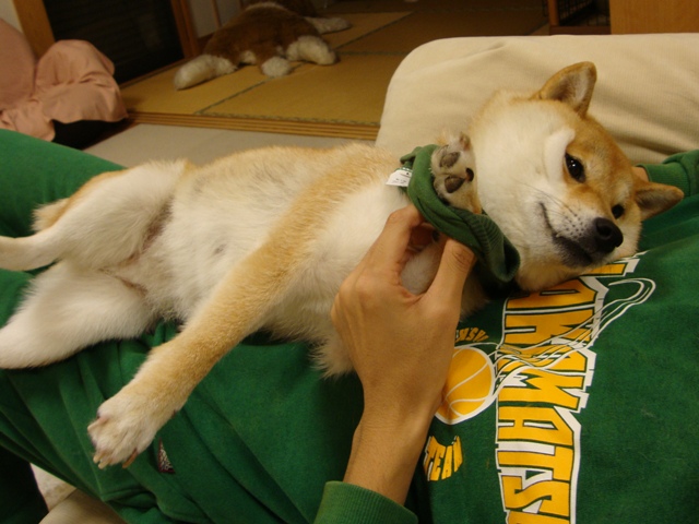今夜はおめかし!_a0126590_59914.jpg