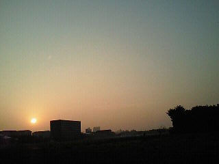 いちじくジャム♪_d0091994_8144623.jpg