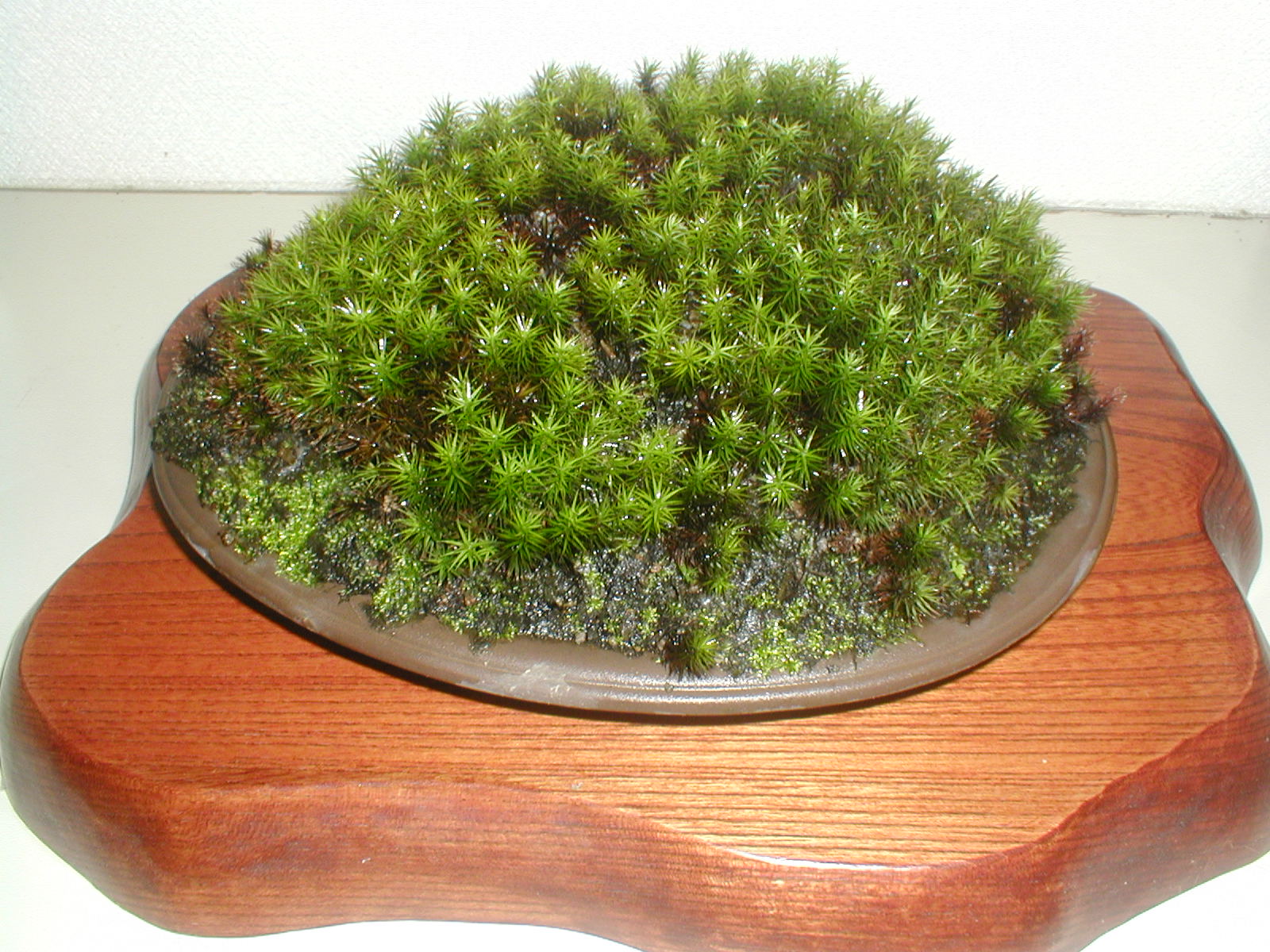 e0116694_23481931.jpg