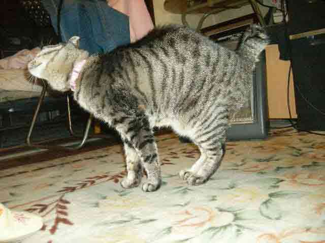 a0038698_242522.jpg