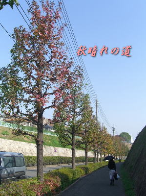 a0075802_22145629.jpg