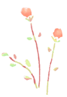 e0115502_1122168.gif