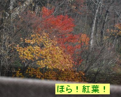 f0109202_20105888.jpg