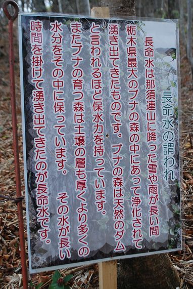 f0109202_20141545.jpg
