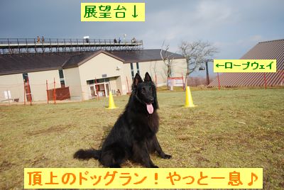 f0109202_20151367.jpg