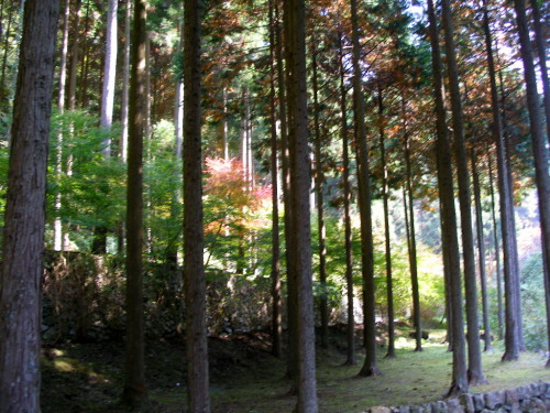 c0036203_18324621.jpg