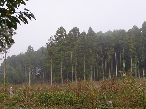 d0120803_2351727.jpg