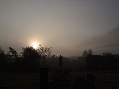 d0149103_13382478.jpg