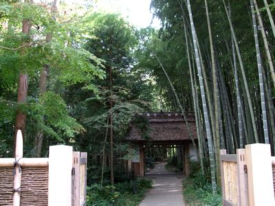 d0149103_13543285.jpg