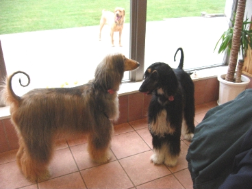 c0110906_20115426.jpg