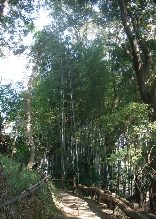 秋はそぞろに芸術・文化鑑賞_f0084806_20533194.jpg