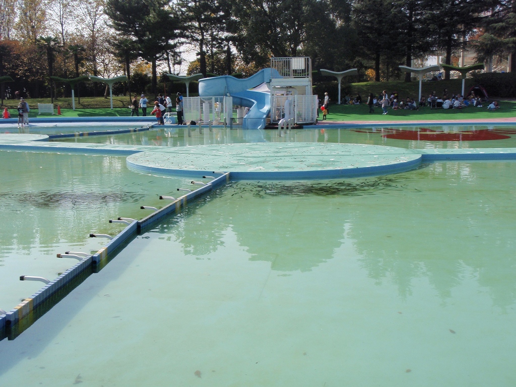 11月1日　しらこばと水上公園_c0163207_22314910.jpg