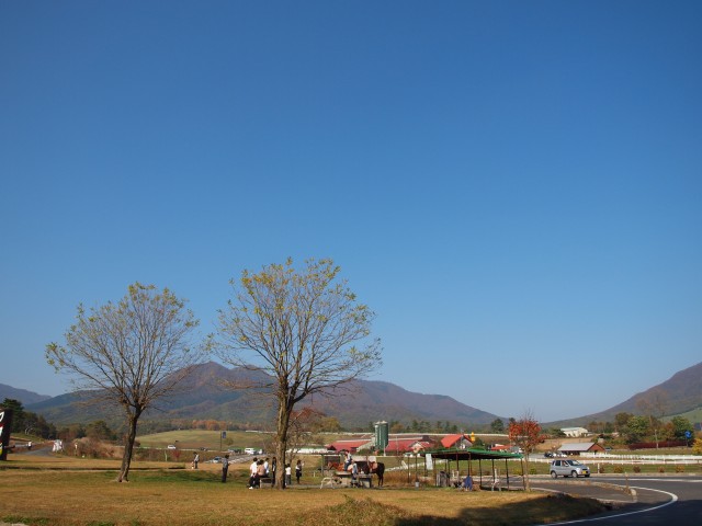 e0074308_21152048.jpg