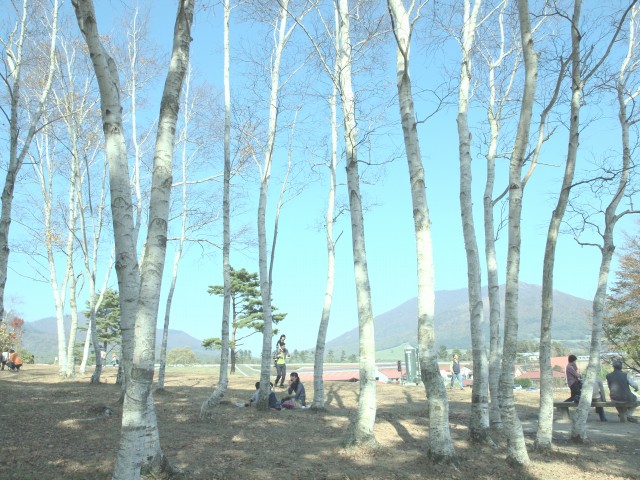 e0074308_21192095.jpg
