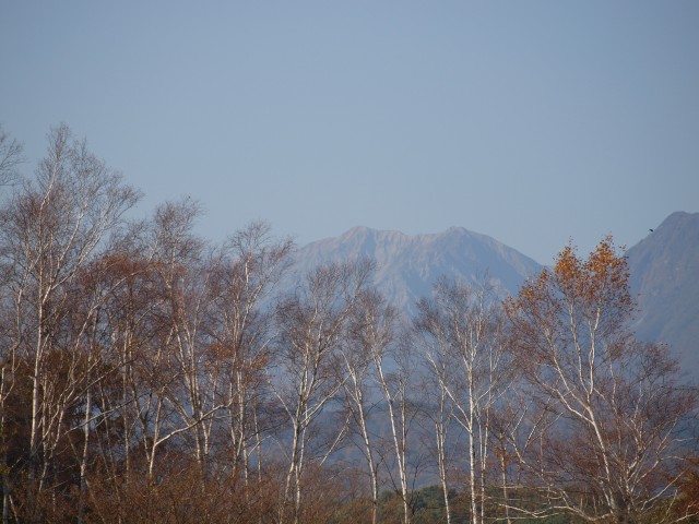 e0074308_21254836.jpg